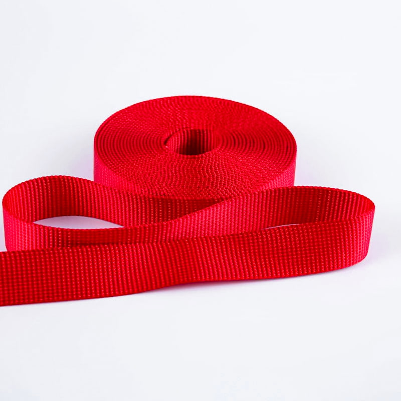 حزام ربط كبير للحيوانات الأليفة مقاس 2.5 سم