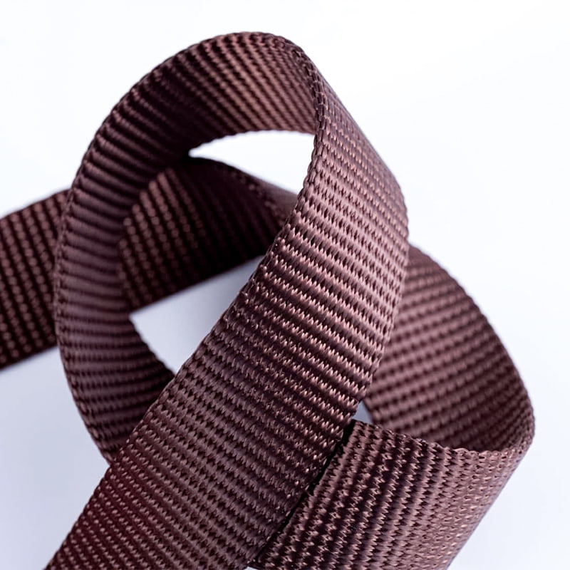 2.5cm البوليستر مقود الحيوانات الأليفة ربط حزام مسطح