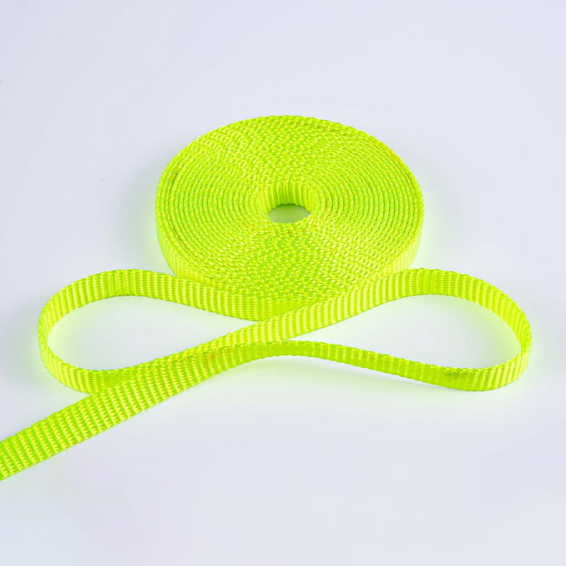 مقود تدريب الحيوانات الأليفة من البوليستر مقاس 1.5 سم مع حزام بغرز متشابكة على الوجهين