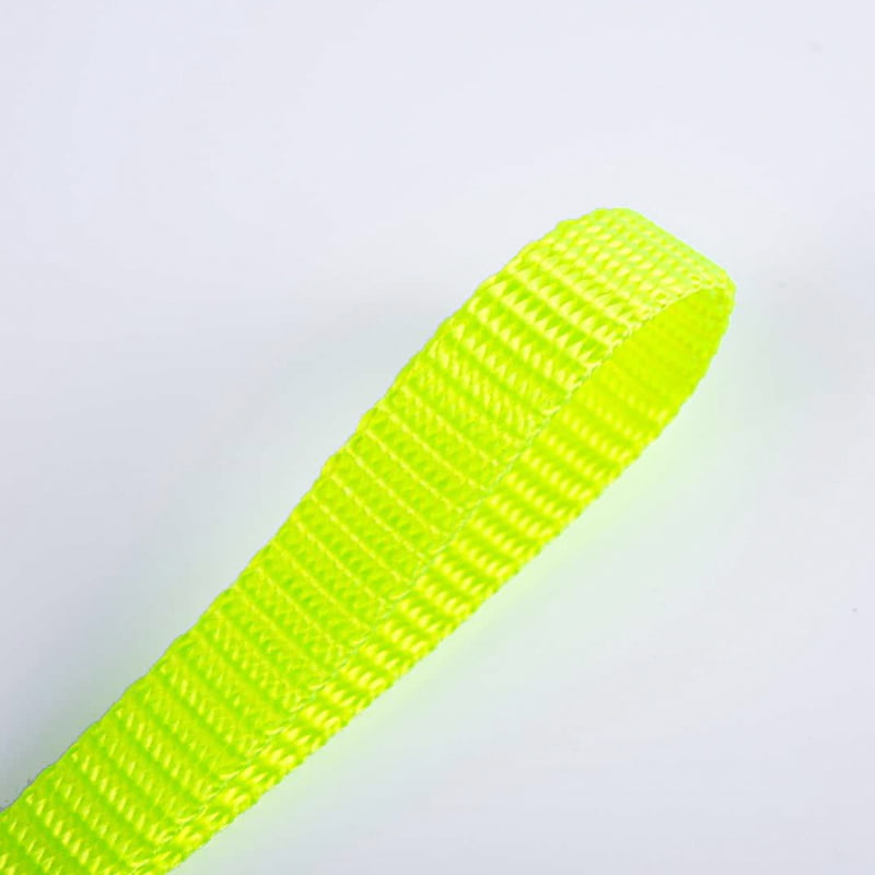 مقود تدريب الحيوانات الأليفة من البوليستر مقاس 1.5 سم مع حزام بغرز متشابكة على الوجهين